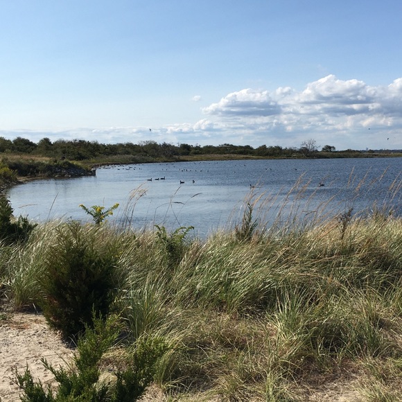 Meet your Posher, Anya - Picture 5 of 13